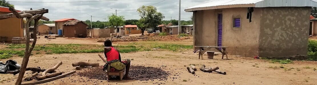 Village in Côte d’Ivoire with shea nuts drying on the ground in front of clay houses