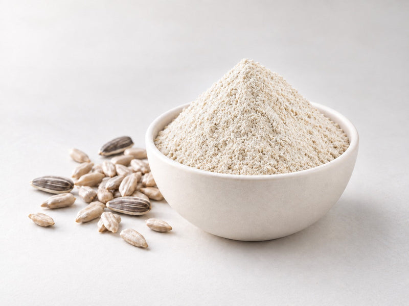 Sunflower protein powder in a white bowl with sunflower seeds