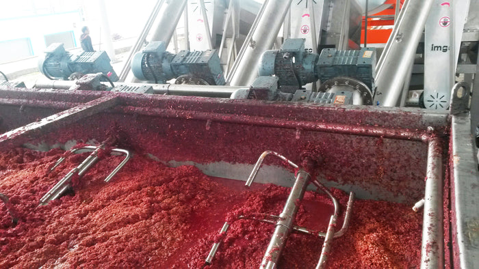 Rote Fruchtpulpe in einer Edelstahlwanne mit Rührwerk