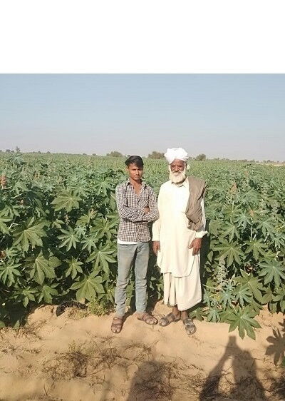 Zwei Landwirte stehen in einem Rizinusfeld in Indien